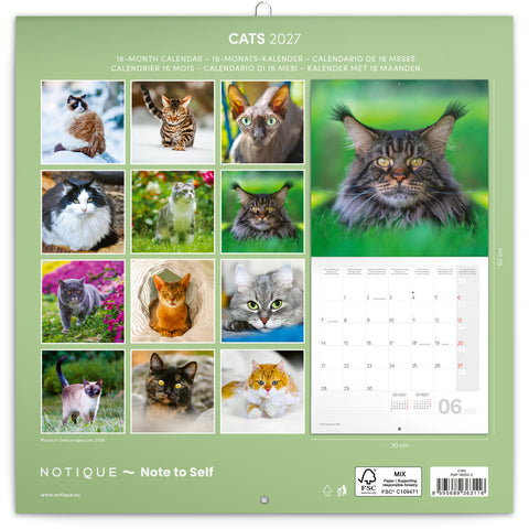 Broschürenkalender Cats 2027, 30 x 30 cm
