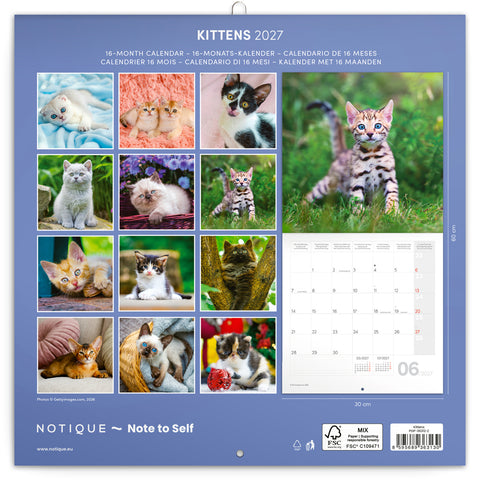 Broschürenkalender Kittens 2027, 30 x 30 cm