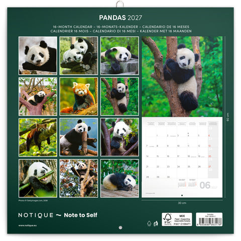Broschürenkalender Pandas 2027, 30 x 30 cm