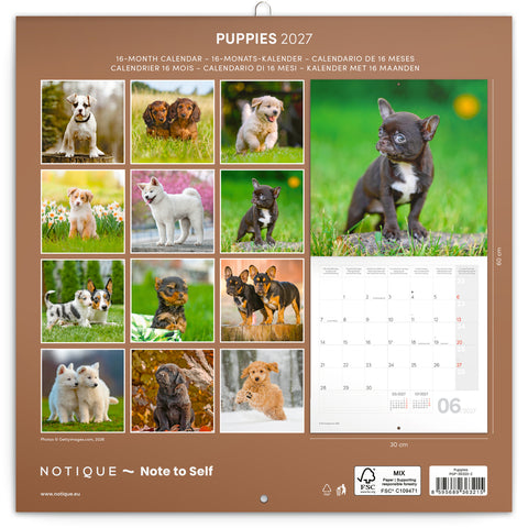 Broschürenkalender Puppies 2027, 30 x 30 cm