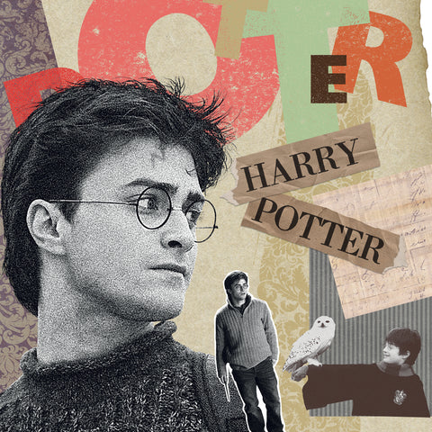Broschürenkalender Harry Potter 2027, 30 x 30 cm