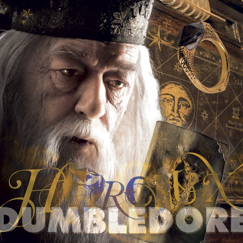 Broschürenkalender Harry Potter 2027, 30 x 30 cm