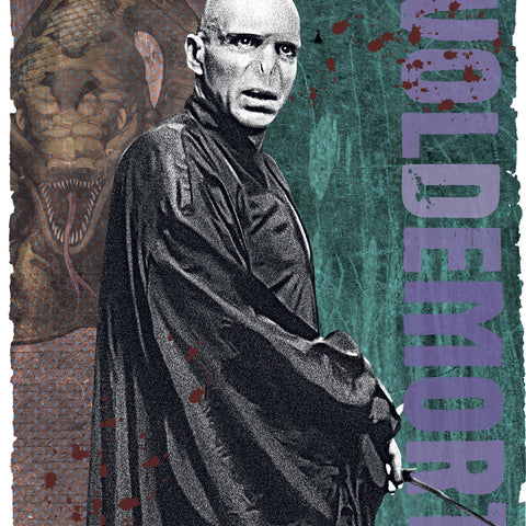 Broschürenkalender Harry Potter 2027, 30 x 30 cm