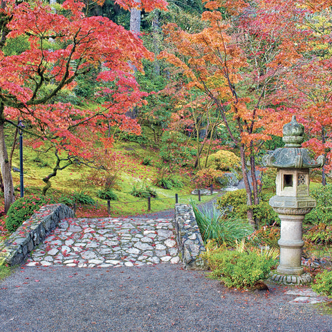 Broschürenkalender Gardens 2027, 30 x 30 cm